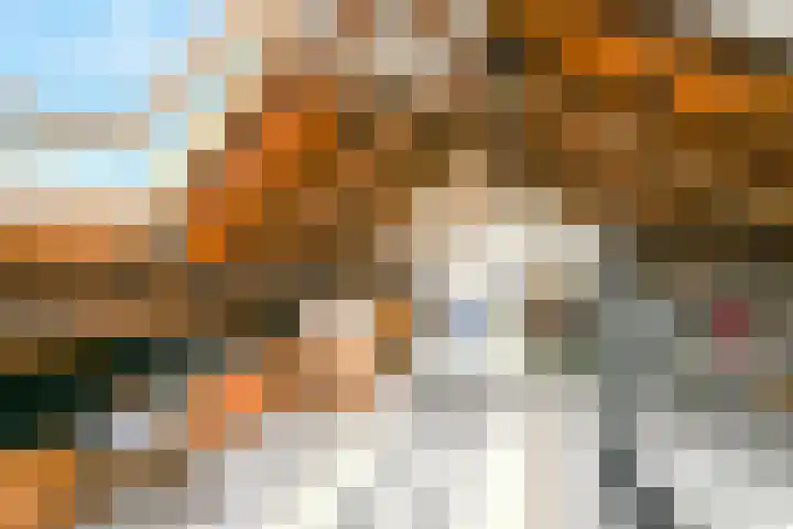 Houtrustlaan 22 Den Haag thumbnail 51