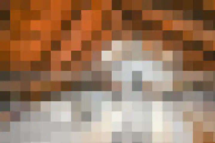 Houtrustlaan 22 Den Haag thumbnail 52
