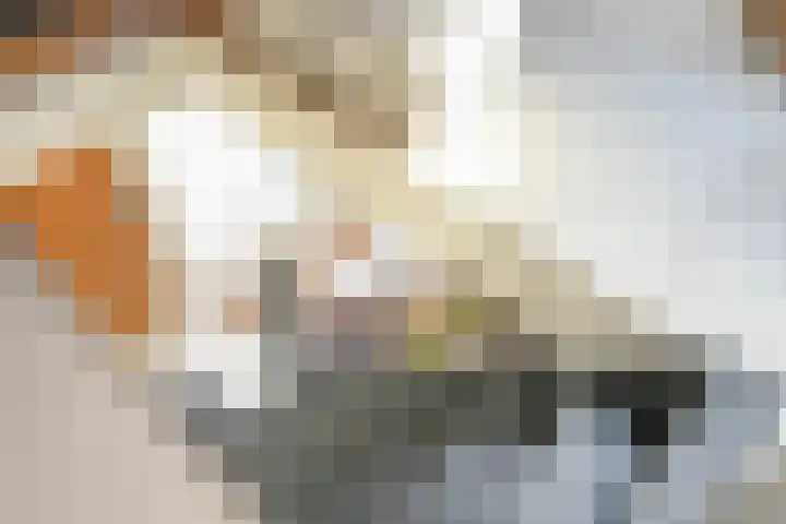 Houtrustlaan 22 Den Haag thumbnail 53