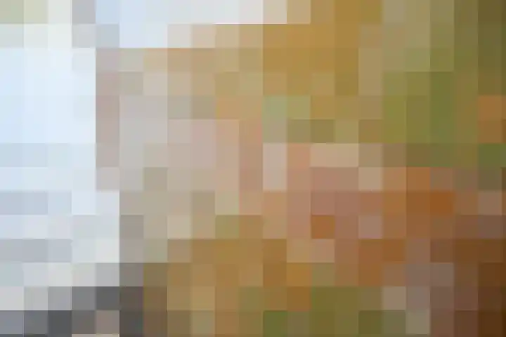 Houtrustlaan 22 Den Haag thumbnail 7