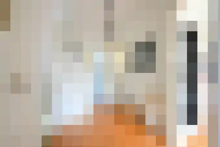 Houtrustlaan 22 Den Haag thumbnail 8