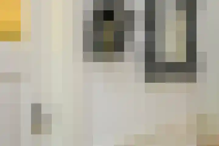 Houtrustlaan 22 Den Haag thumbnail 9