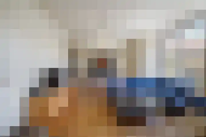 Houtrustlaan 34 Den Haag thumbnail 20