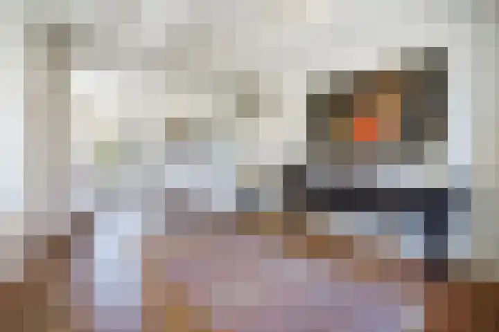 Houtrustlaan 34 Den Haag thumbnail 21