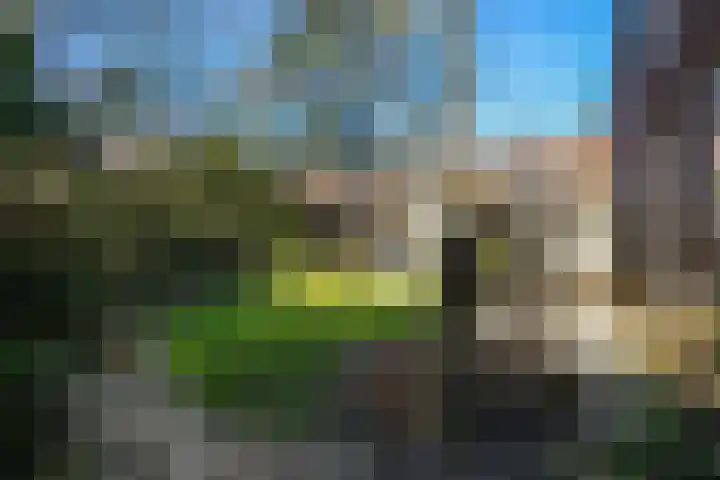 Houtrustlaan 34 Den Haag thumbnail 24