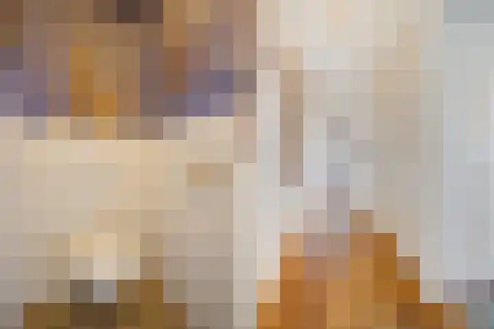 Houtrustlaan 34 Den Haag thumbnail 28