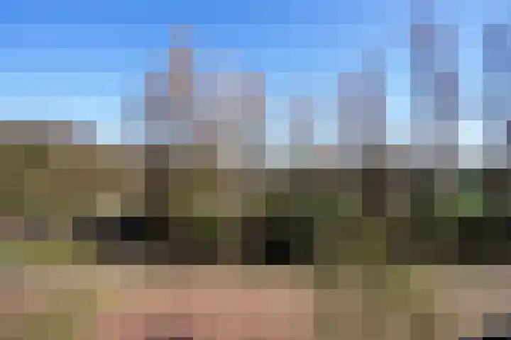 Houtrustlaan 34 Den Haag thumbnail 40