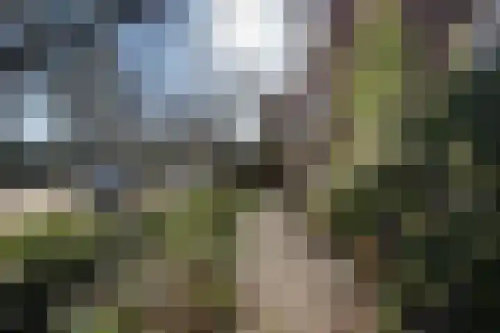 Houtrustlaan 34 Den Haag thumbnail 47