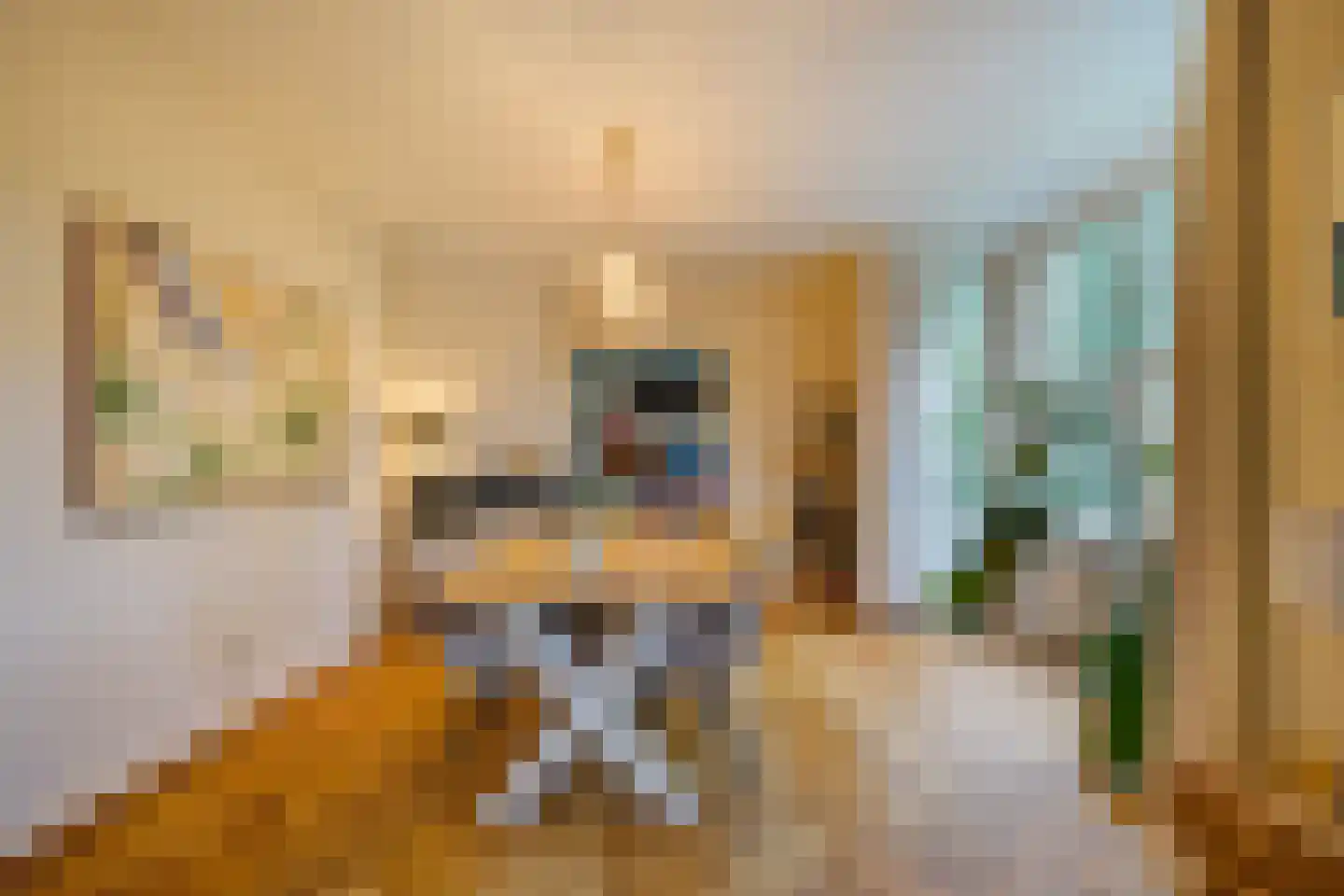 Houtrustlaan 38 Den Haag thumbnail 13