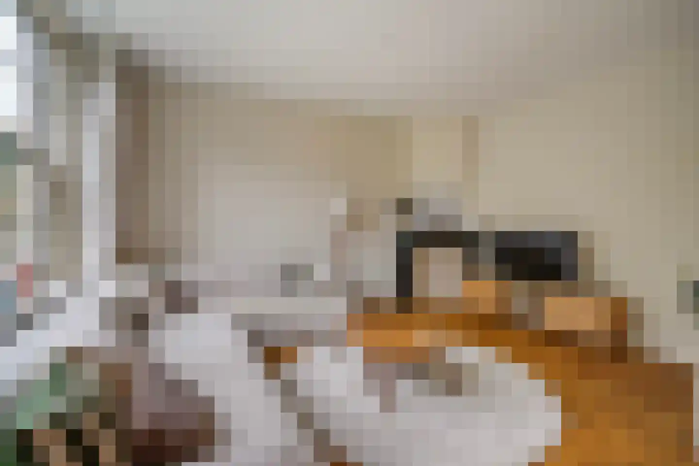 Houtrustlaan 38 Den Haag thumbnail 18