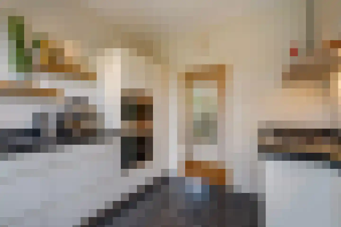 Houtrustlaan 38 Den Haag thumbnail 20