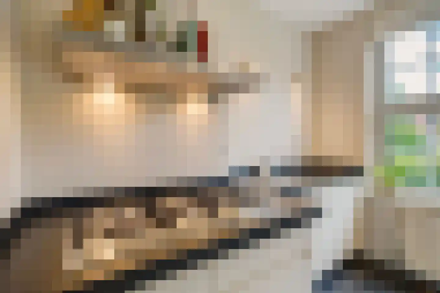 Houtrustlaan 38 Den Haag thumbnail 23