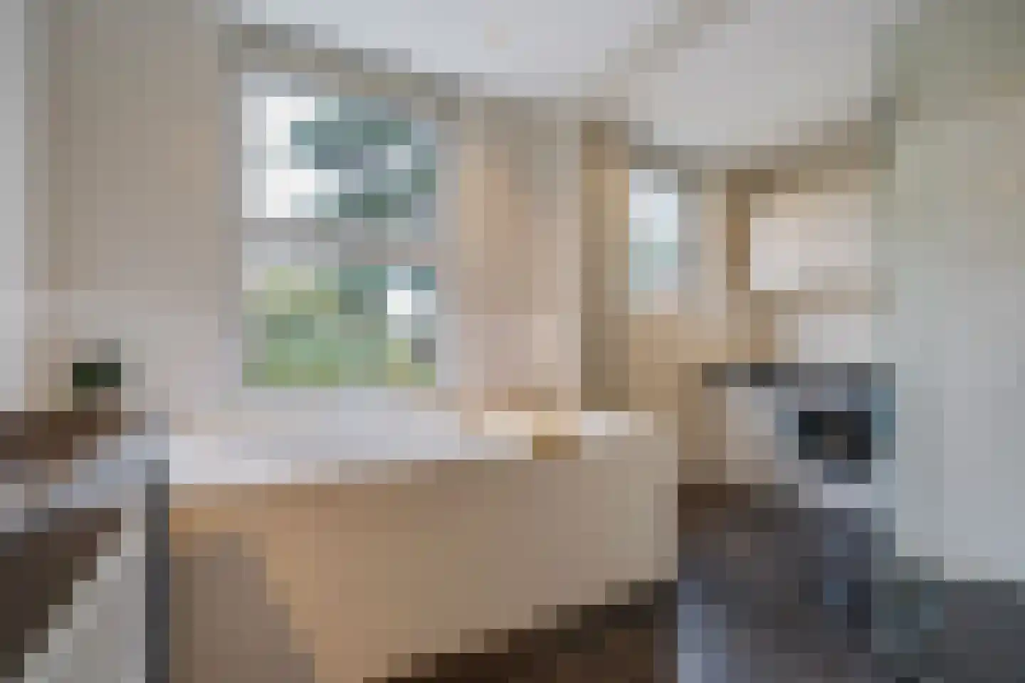 Houtrustlaan 38 Den Haag thumbnail 25