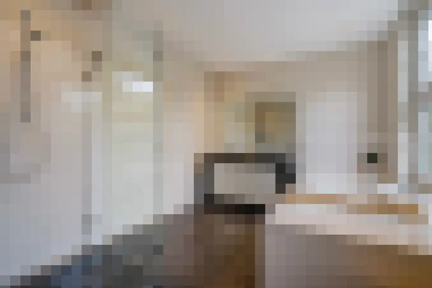 Houtrustlaan 38 Den Haag thumbnail 27