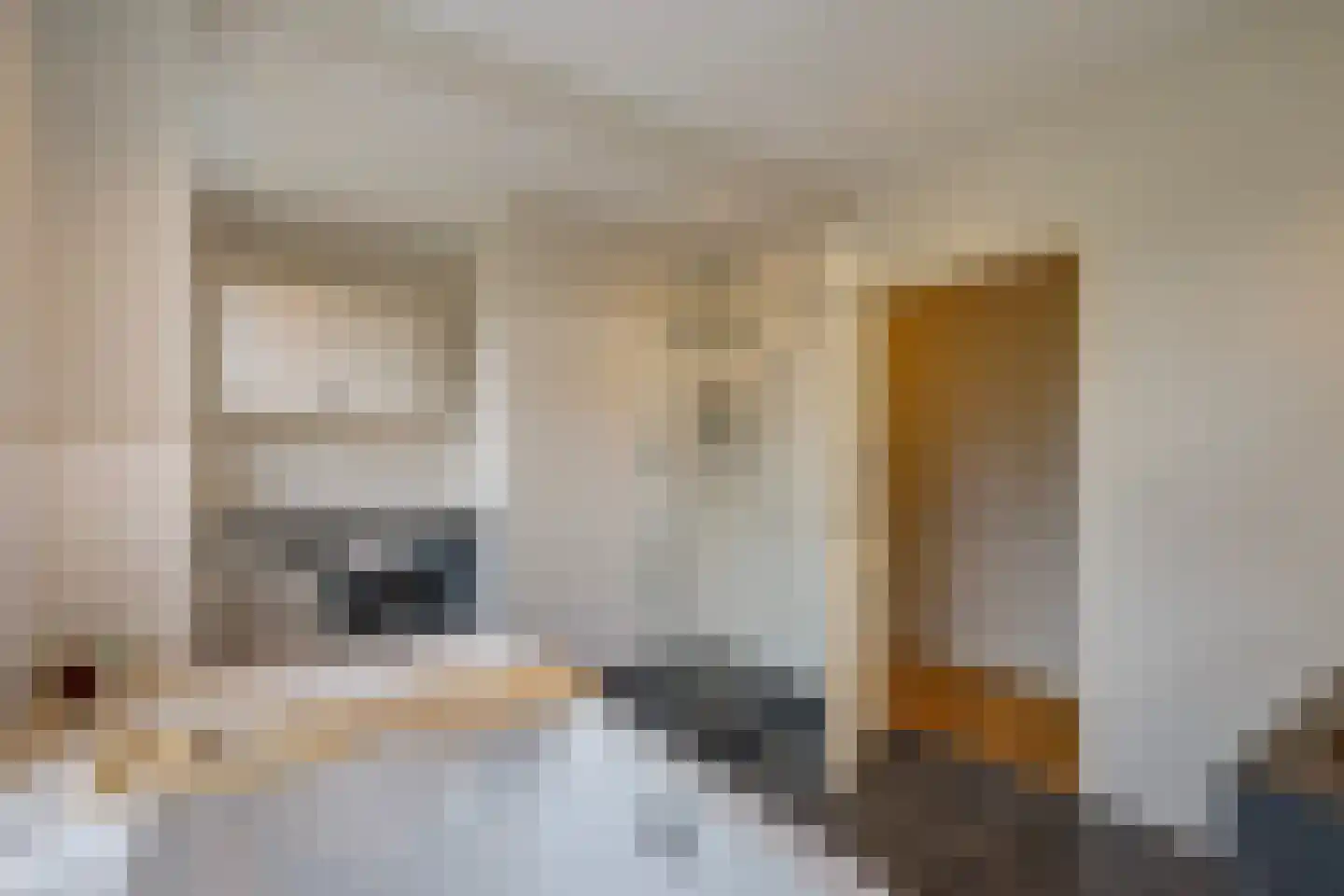 Houtrustlaan 38 Den Haag thumbnail 29