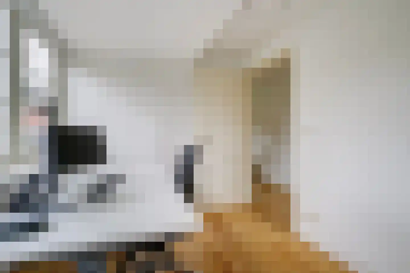 Houtrustlaan 38 Den Haag thumbnail 38