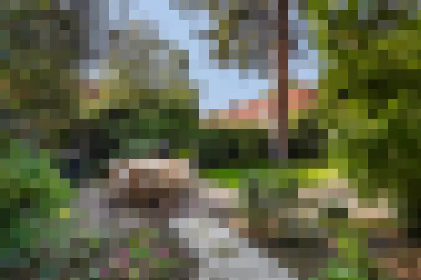 Houtrustlaan 38 Den Haag thumbnail 4