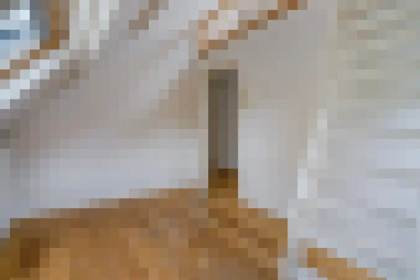 Houtrustlaan 38 Den Haag thumbnail 41