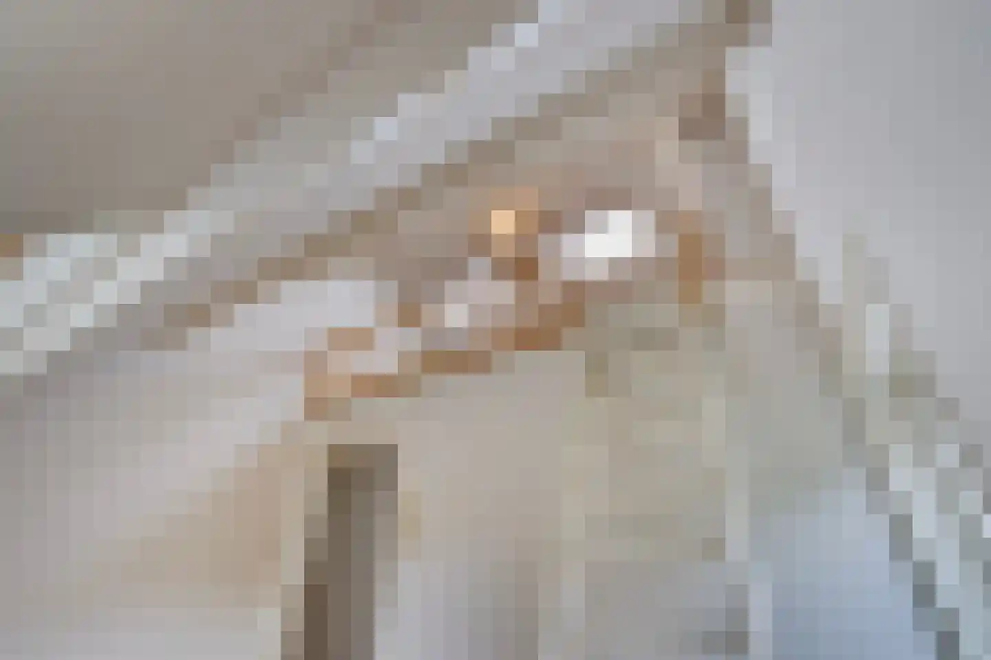 Houtrustlaan 38 Den Haag thumbnail 42