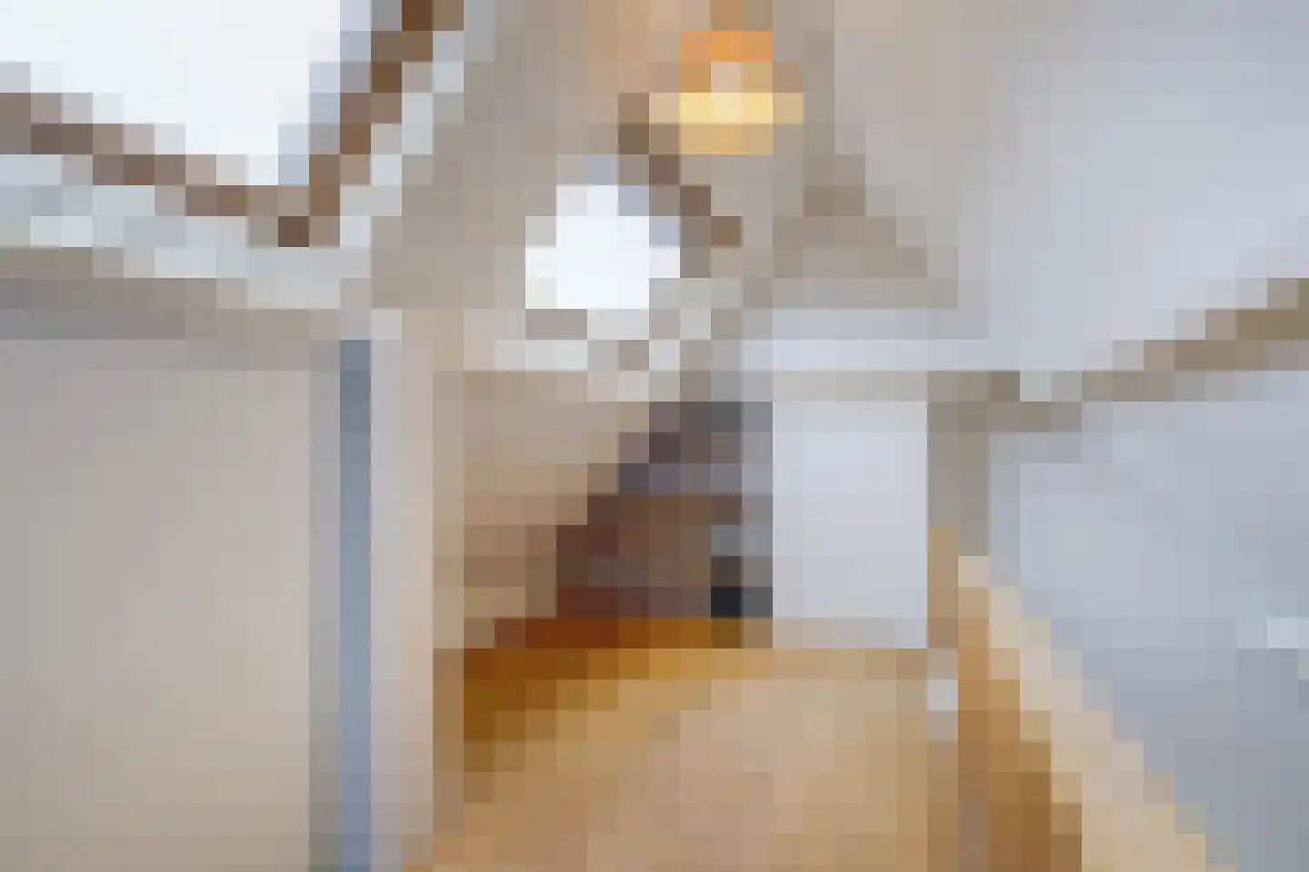 Houtrustlaan 38 Den Haag thumbnail 44