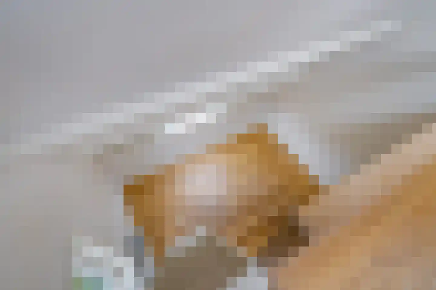 Houtrustlaan 38 Den Haag thumbnail 45