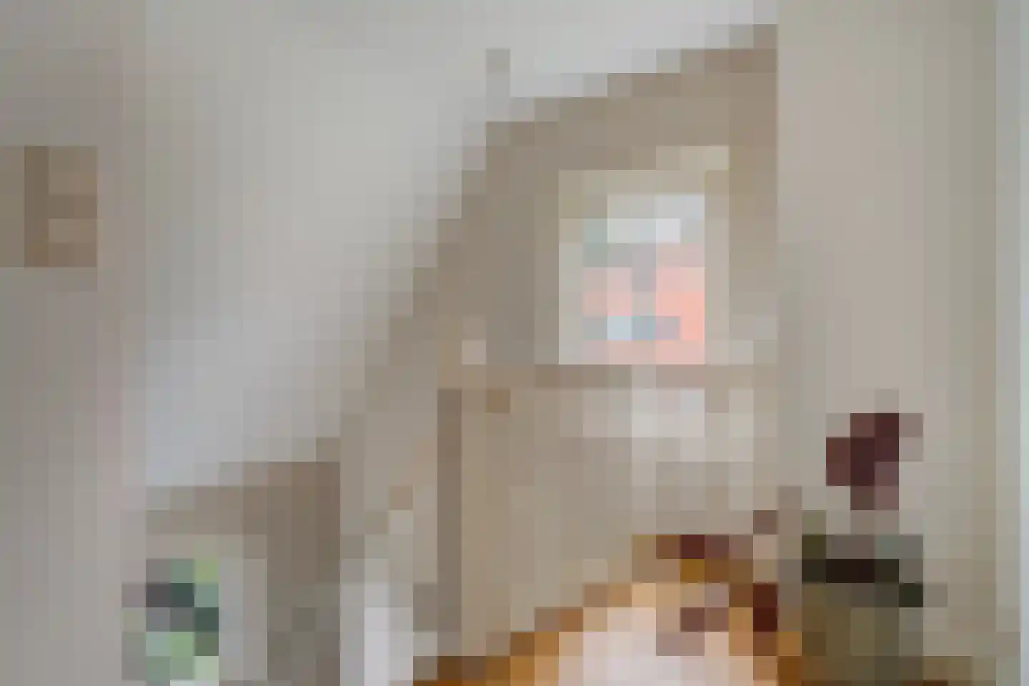 Houtrustlaan 38 Den Haag thumbnail 48