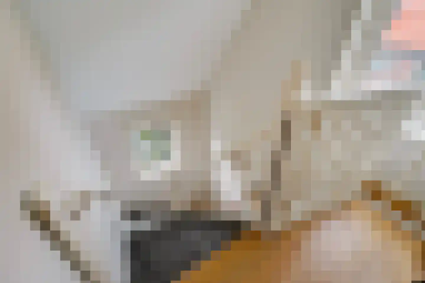 Houtrustlaan 38 Den Haag thumbnail 49