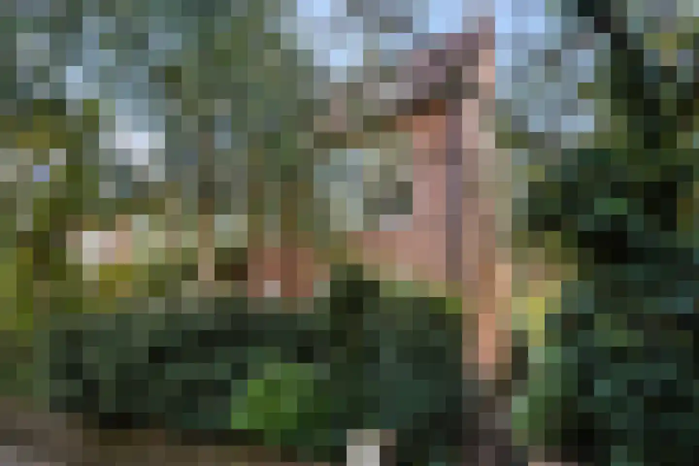 Houtrustlaan 38 Den Haag thumbnail 5