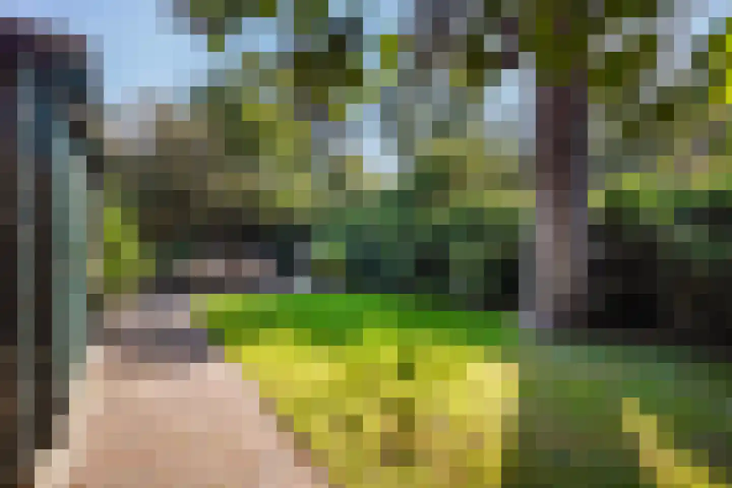 Houtrustlaan 38 Den Haag thumbnail 53