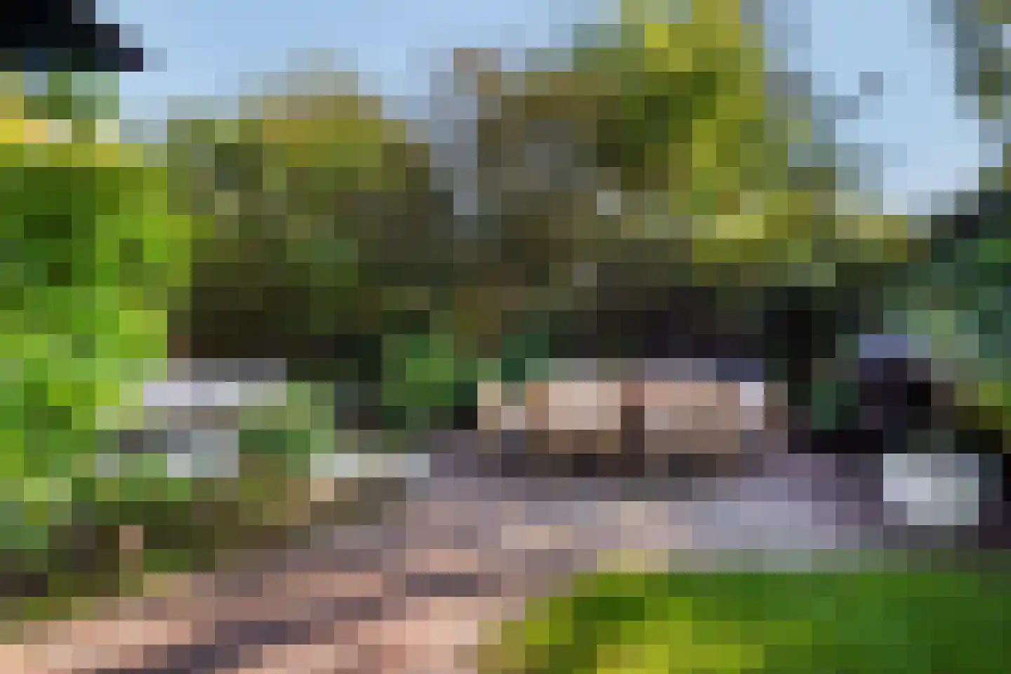 Houtrustlaan 38 Den Haag thumbnail 55