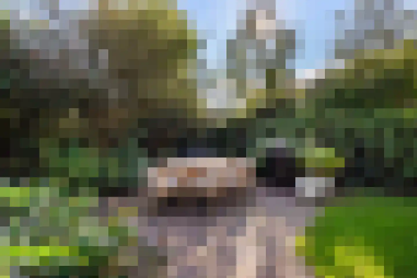 Houtrustlaan 38 Den Haag thumbnail 57