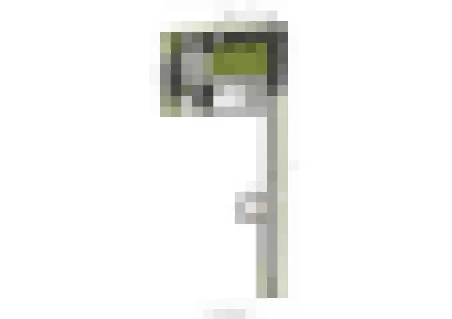 Houtrustlaan 38 Den Haag thumbnail 64