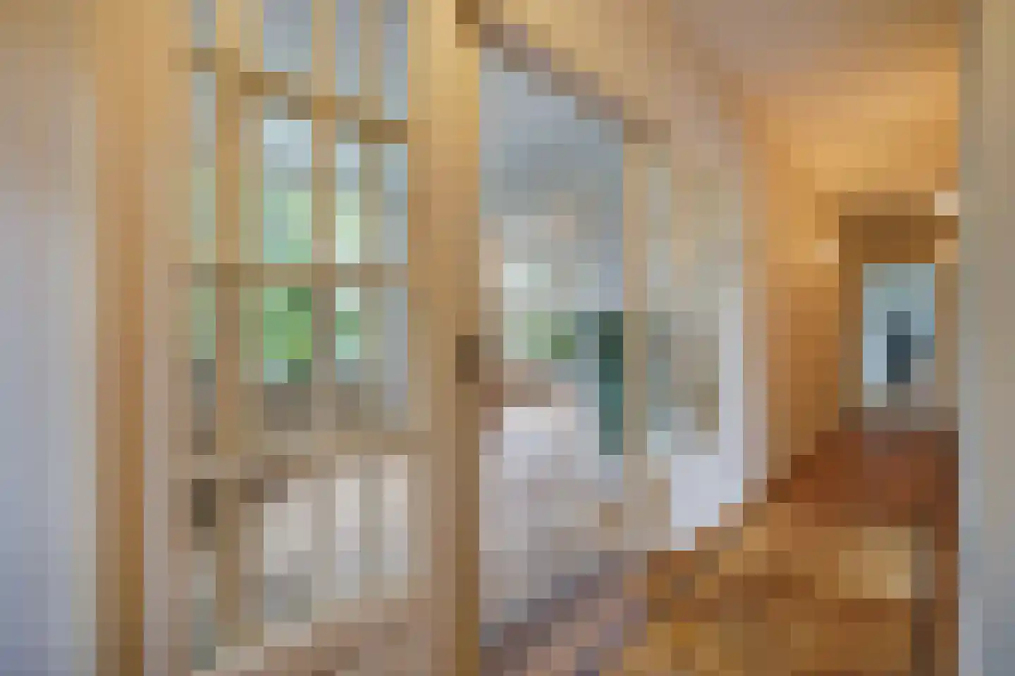 Houtrustlaan 38 Den Haag thumbnail 7