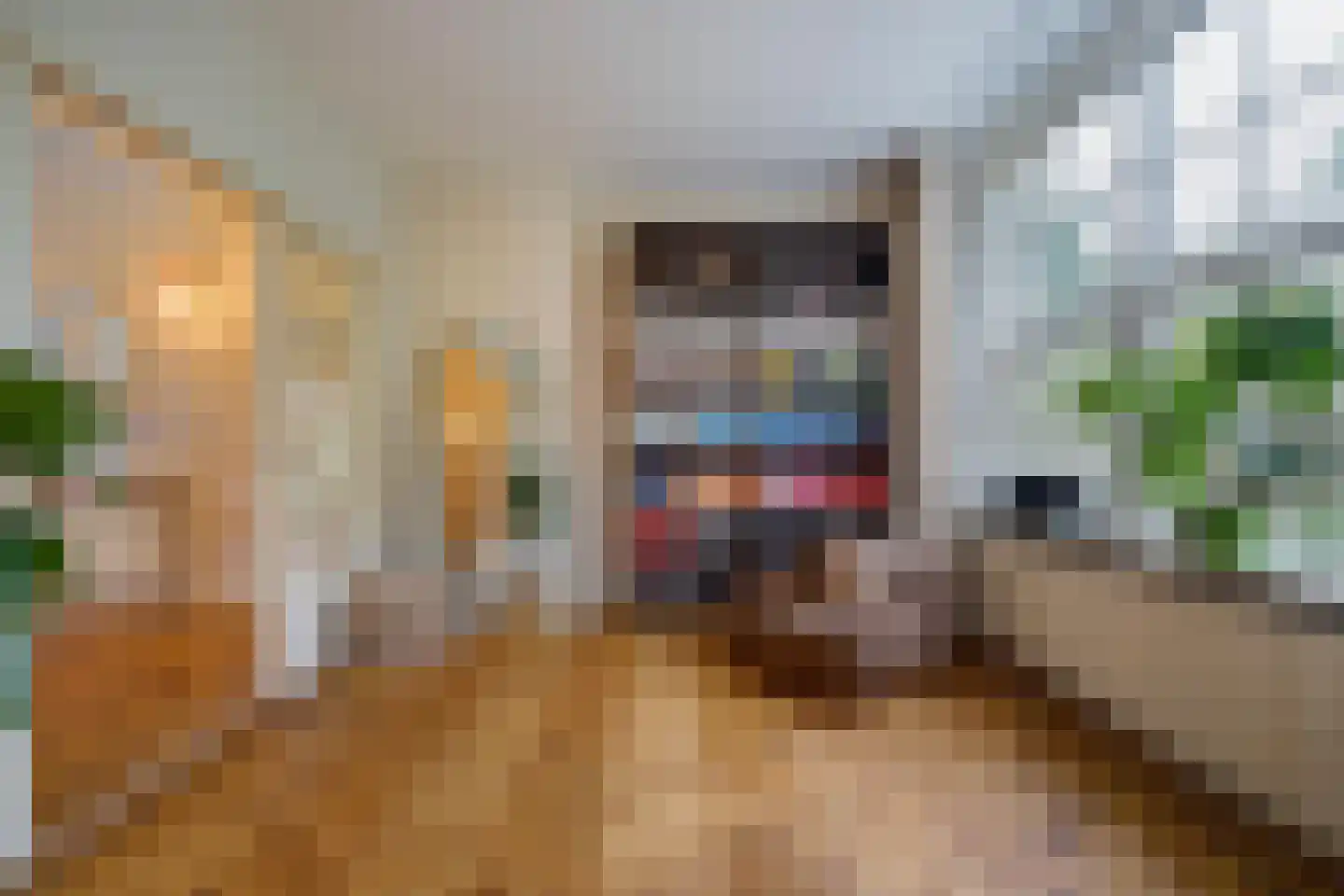 Houtrustlaan 38 Den Haag thumbnail 9