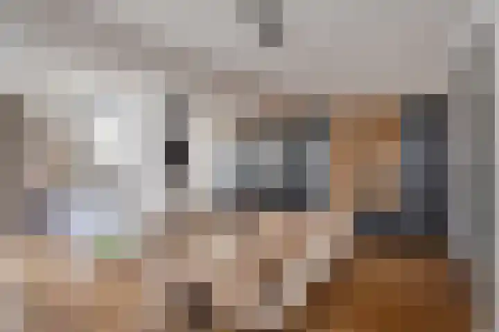 Houtrustweg 16 't Harde thumbnail 15