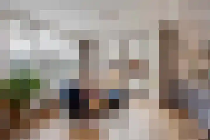 Houtrustweg 16 't Harde thumbnail 18