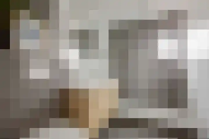 Houtrustweg 16 't Harde thumbnail 32