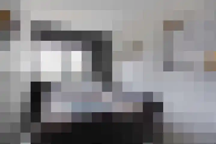 Houtrustweg 16 't Harde thumbnail 34