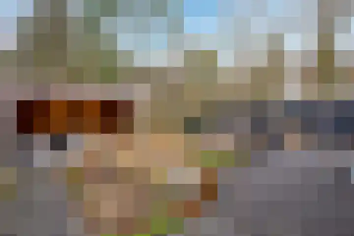 Houtrustweg 16 't Harde thumbnail 50