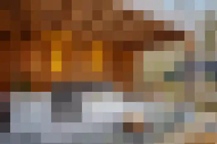 Houtrustweg 16 't Harde thumbnail 51