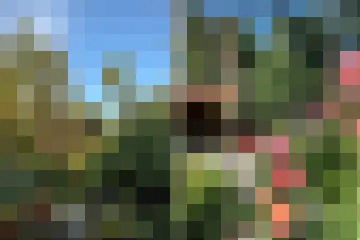 Houtrustweg 16 't Harde thumbnail 53