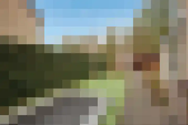 Houtrustweg 16 't Harde thumbnail 58