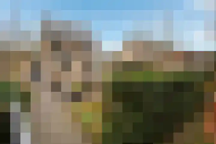 Houtrustweg 16 't Harde thumbnail 59