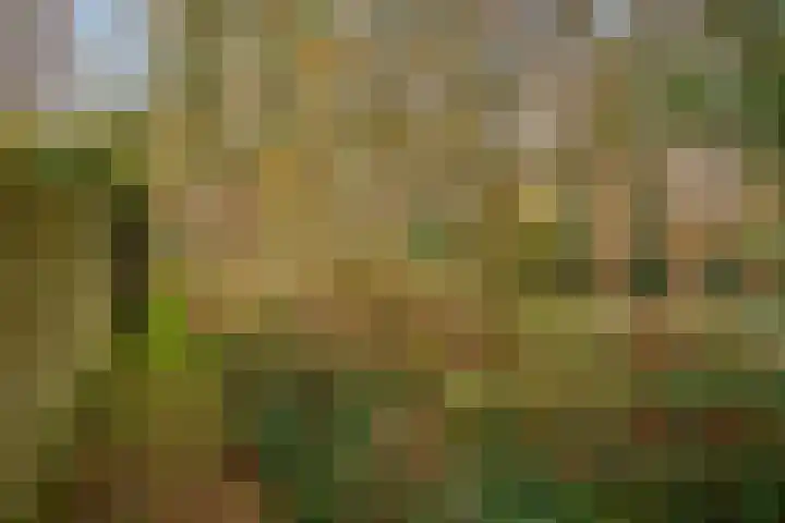 Houtrustweg 16 't Harde thumbnail 60