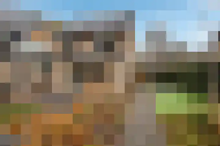 Houtrustweg 16 't Harde thumbnail 62
