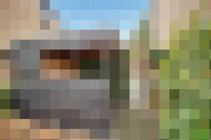 Houtrustweg 16 't Harde thumbnail 63
