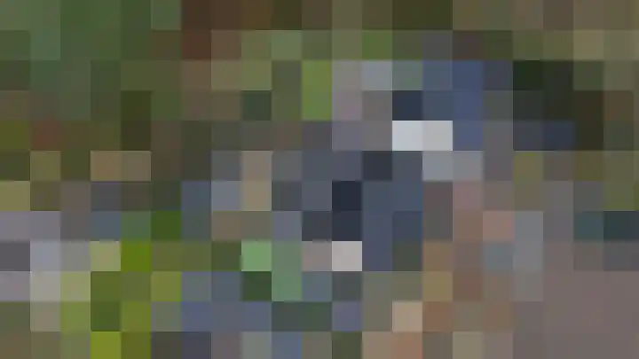 Houtrustweg 16 't Harde thumbnail 64