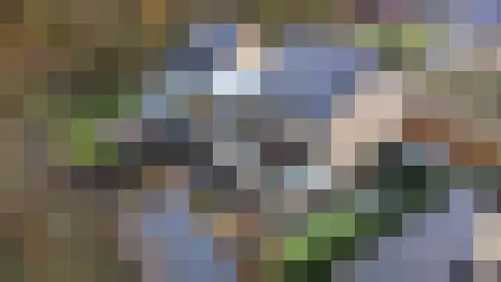 Houtrustweg 16 't Harde thumbnail 66