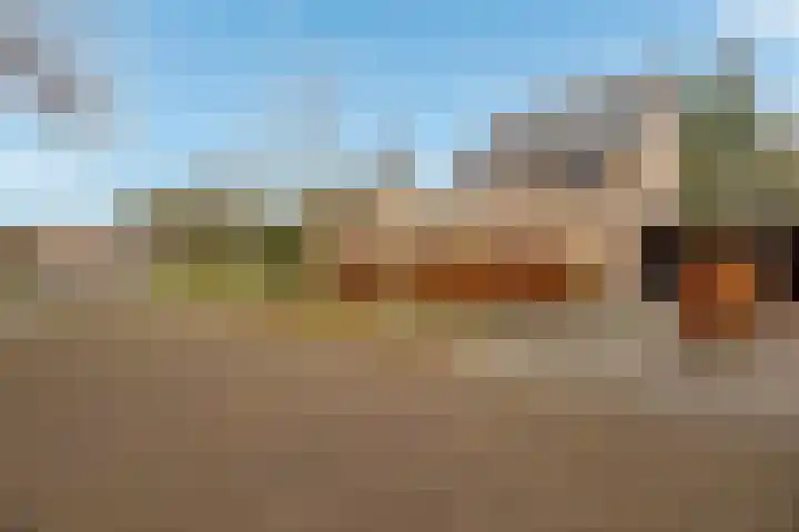 Houtrustweg 16 't Harde thumbnail 69