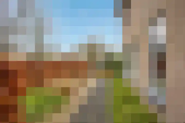 Houtrustweg 16 't Harde thumbnail 71